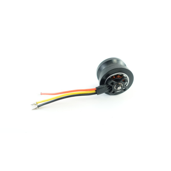 Hare Technology Diana Flyweel with Motor
