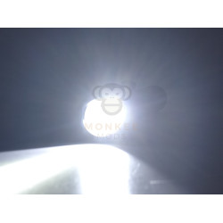 Sotac SD - 081 M640DF Flashlight