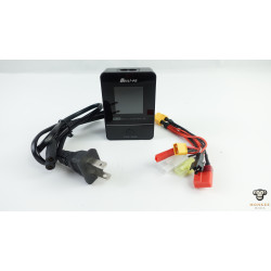 Boslipo Intelligent Safety Balance Charger